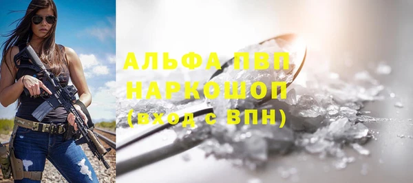 хмурый Аркадак