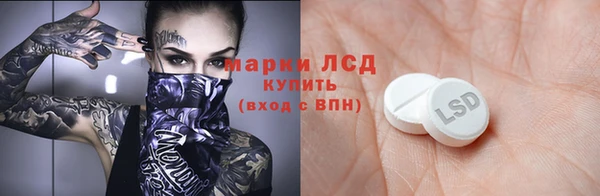 индика Пестово