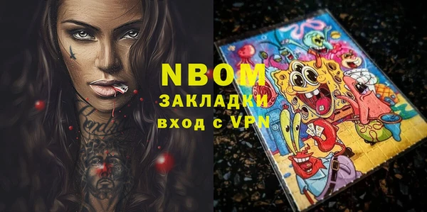 хмурый Аркадак