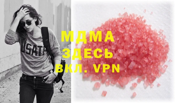 хмурый Аркадак