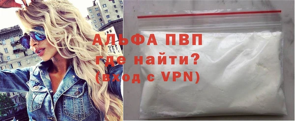 хмурый Аркадак