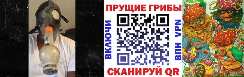Галлюциногенные грибы Psilocybine cubensis  как найти наркотики  Красный Холм 